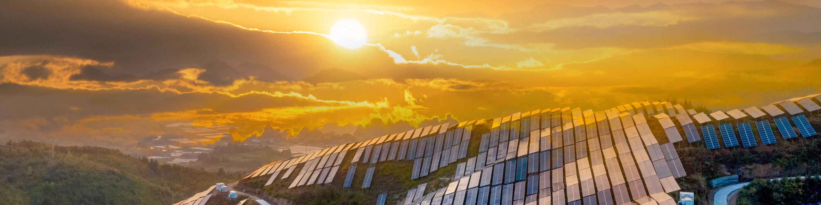 Sustainability Report  2024