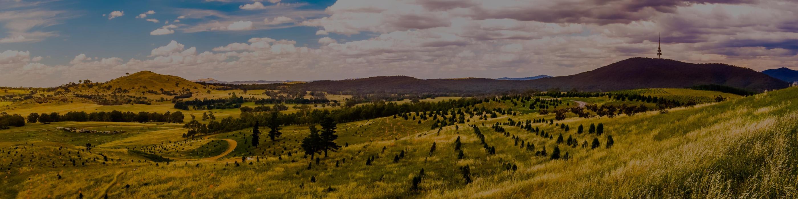 RSM is a premier financial planning company located in Canberra. We help our clients gain a comprehensive understanding of their finances, enabling them to plan for a stress-free future.