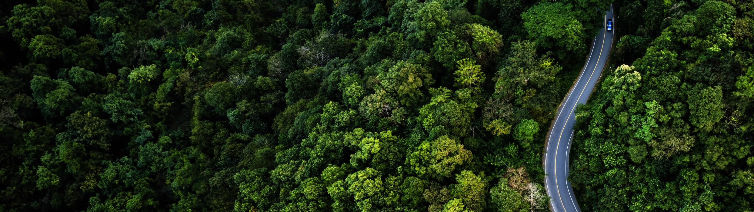 Australia’s net zero sector plan for government and public sector