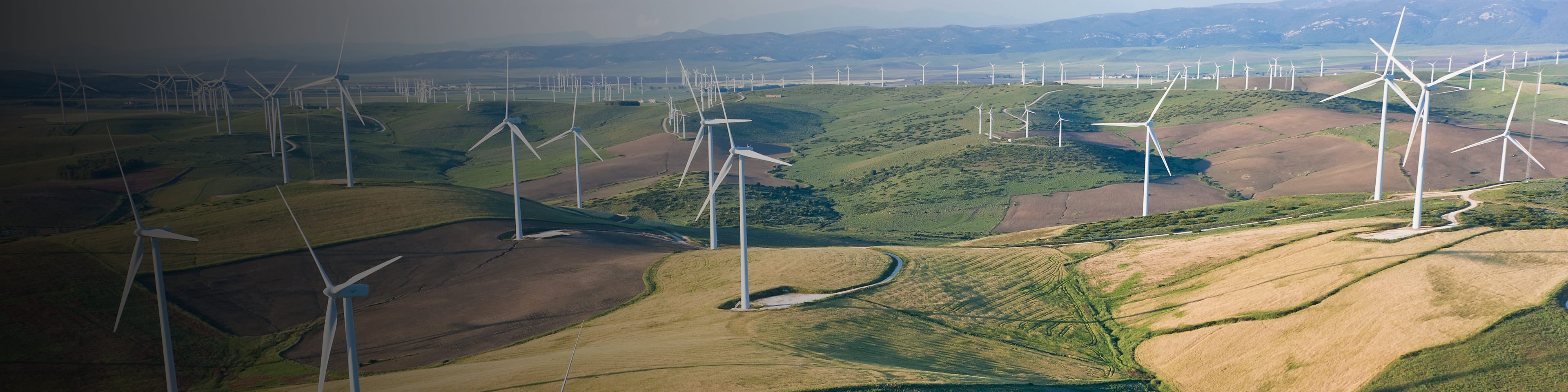 Interconnectivité entre les rapports financiers et les rapports sur le développement durable