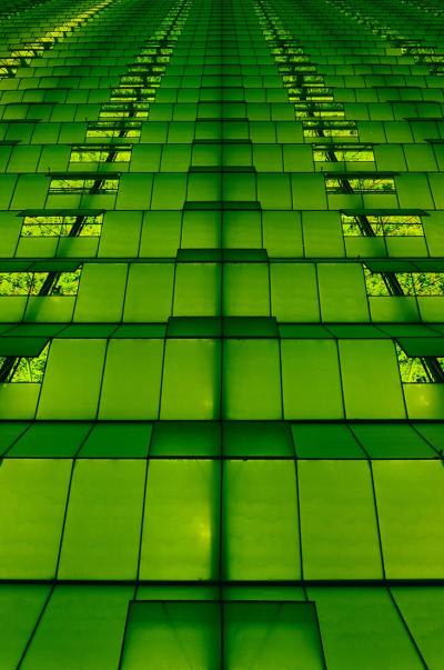 a green greenhouse with plants