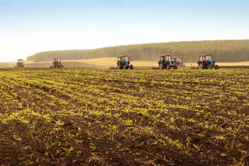 Les prix des acquisitions restent assez stables sur le marché belge malgré la crise