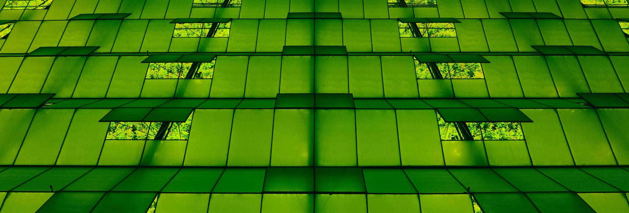 a green greenhouse with plants