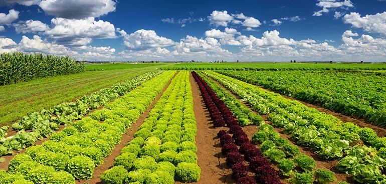 Understanding Jersey's Minimum Wage