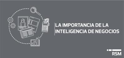 Insights Consultoría