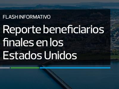 Insights Impuestos