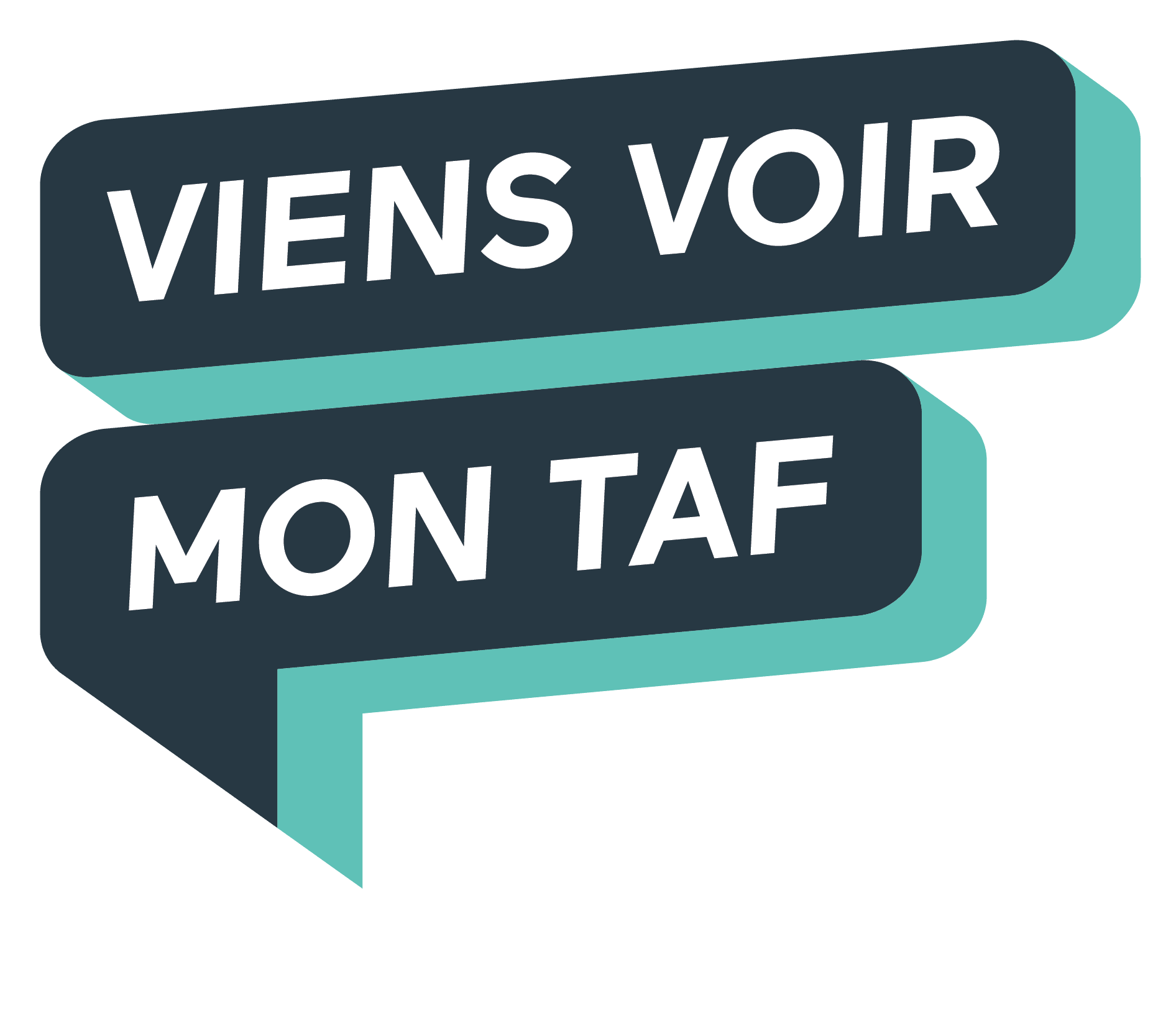 Logo de l'association ViensVoirMonTaf