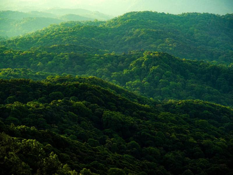 CSRD: Keys to a Transition Towards Sustainable Reporting