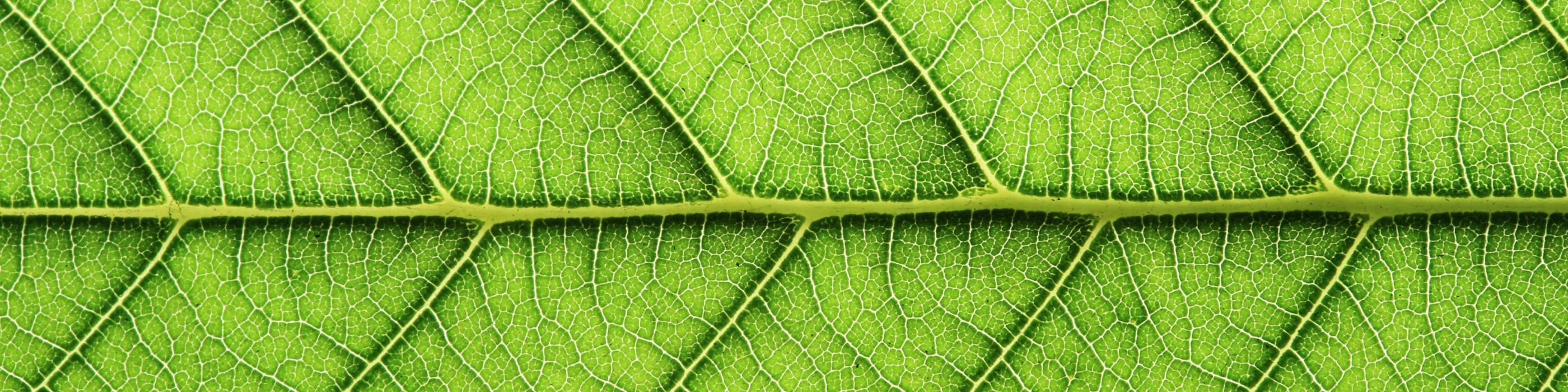 Comment valoriser sa démarche de durabilité grâce au reporting VSME ?