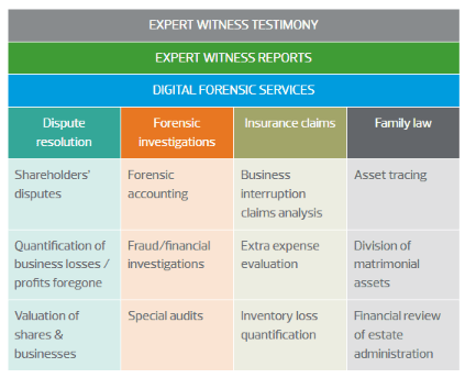 Litigation Support & Forensics