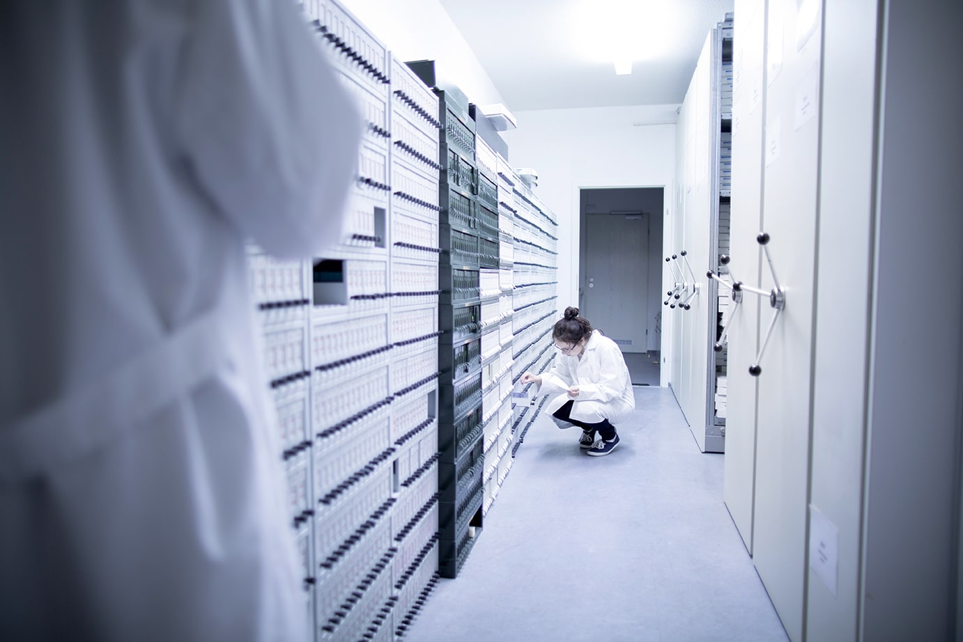 Виды аудитов в испытательной лаборатории. Ведение журнала архива лаборатории. Архив оснащение. В архивах лаборатории был найден график. Правила безопасности в микробиологической лаборатории.