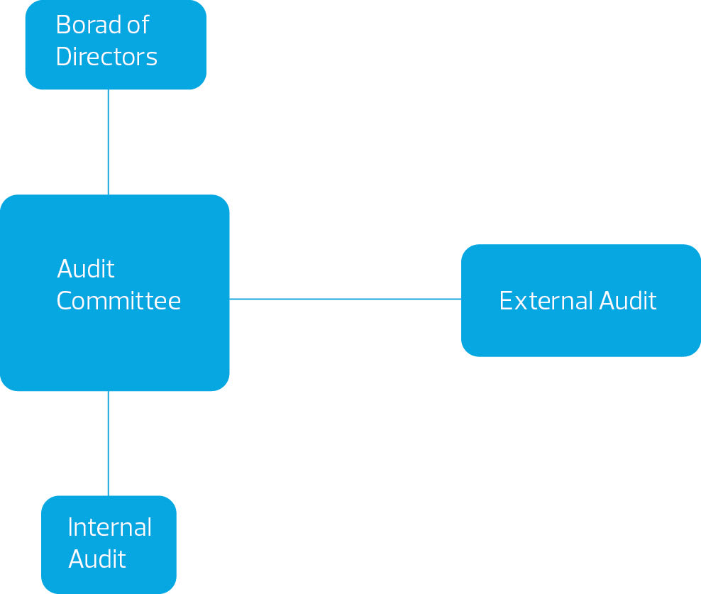 Audit Committees Will Your Private Company Commit Rsm Ireland