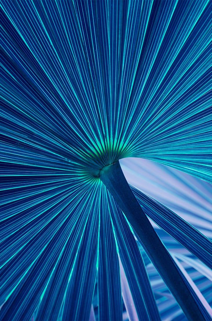 Understanding RCT on mixed contracts: what the latest Revenue guidance means for you 