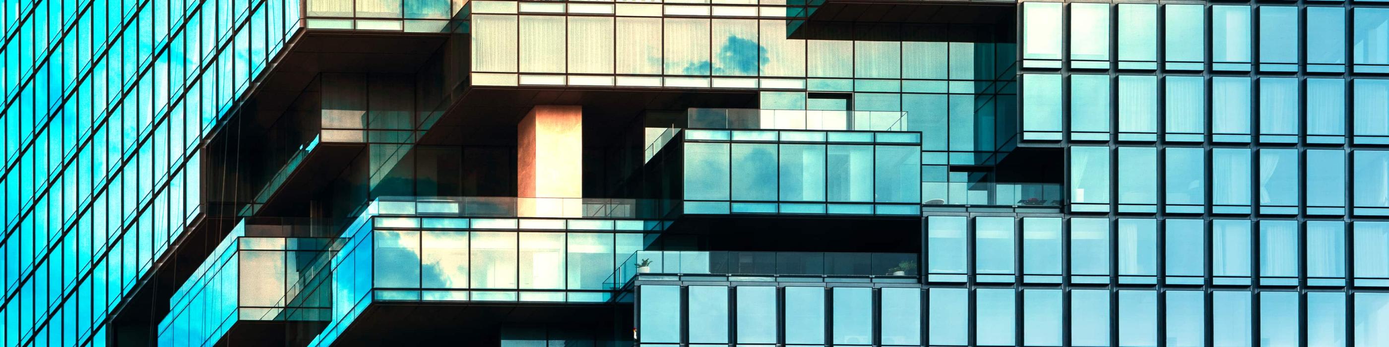 Business Plus - M&A survey