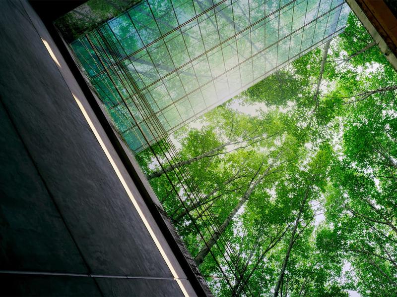 הזדמנות להסדרת דיווחים וקבלת חסינות מהליך פלילי - נוהל גילוי מרצון 2025