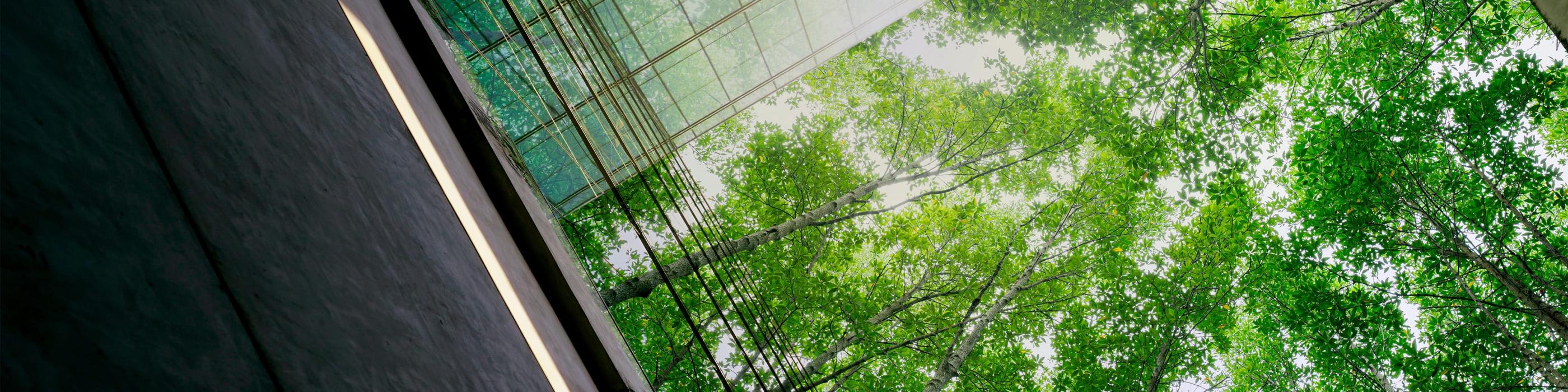 הזדמנות להסדרת דיווחים וקבלת חסינות מהליך פלילי - נוהל גילוי מרצון 2025