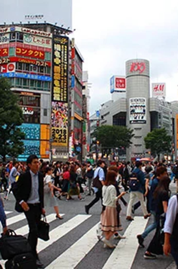 The “Temporary Visitor” Visa in Japan: Eligibility Standards and the Legal Definition of Remuneration