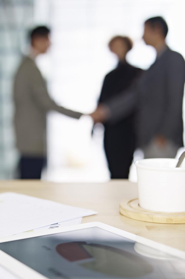 Entering Japan: Requirements, Restrictions, and Procedures for Representative Offices