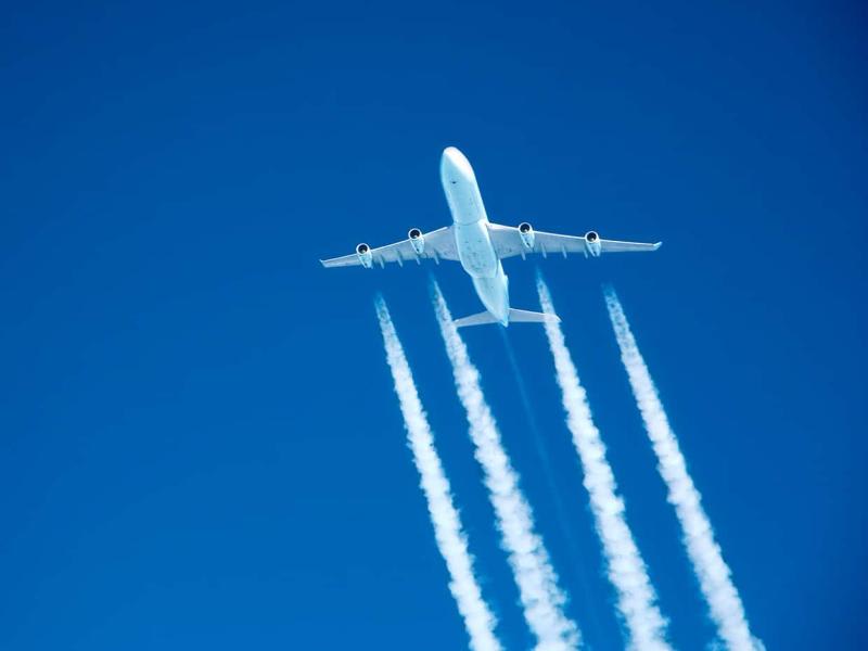 企业相关的日本移民法律指南（与德勤联合出品）