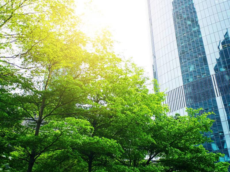 Supporting Working Parents in Japan 日本育儿支援制度与 Global HR 实务（2026年）