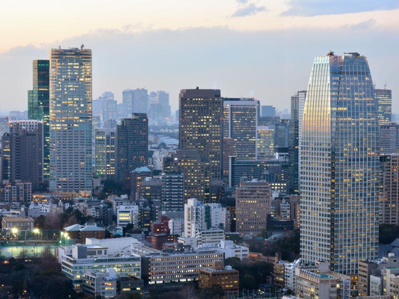 The Diversification of Compensation Packages for Global Mobility Professionals — Where Global Compensation Structures Meet Japanese Payroll and HR Practice