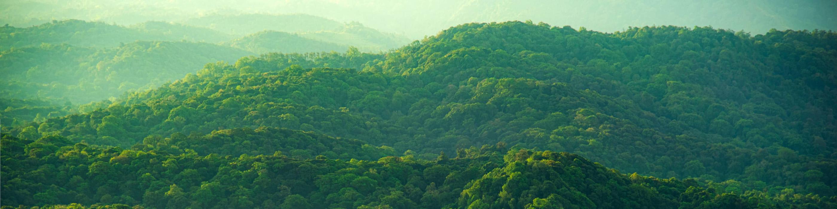 ESG・Sustainability