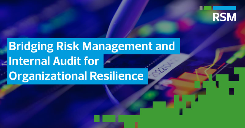 Bridging Risk Management and Internal Audit for Organizational Resilience