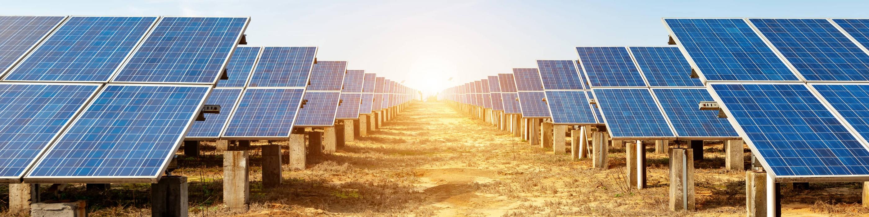The Crucial Role of Internal Auditors in ESG
