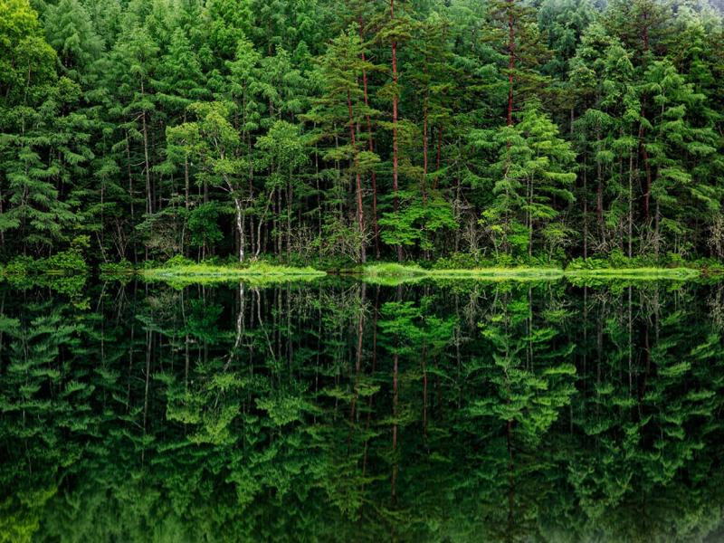The importance of internal audit and expertise for ESG Transformation 