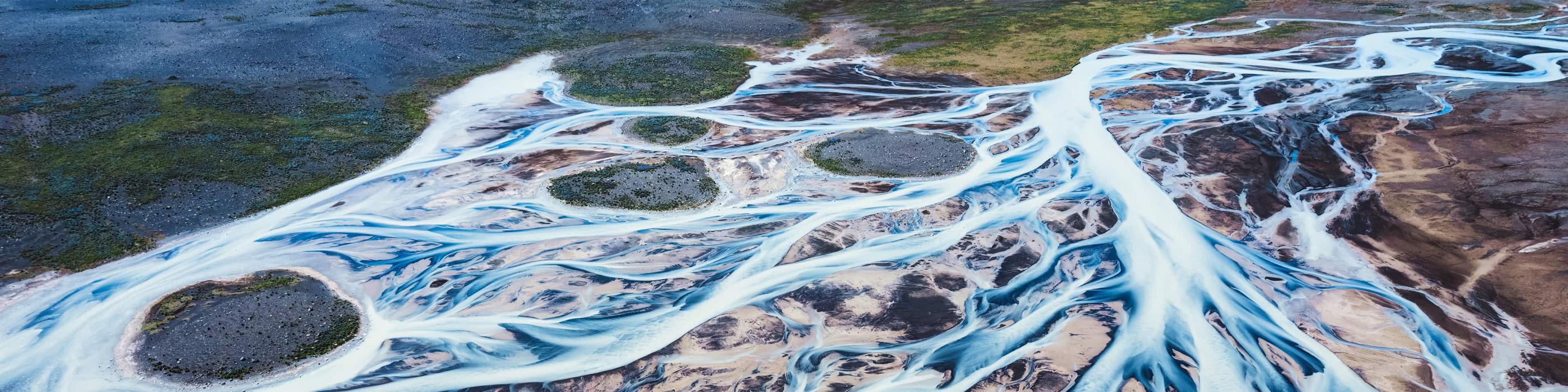 Lurer du på hvordan din bedrift burde jobbe med natur og biomangfold? 