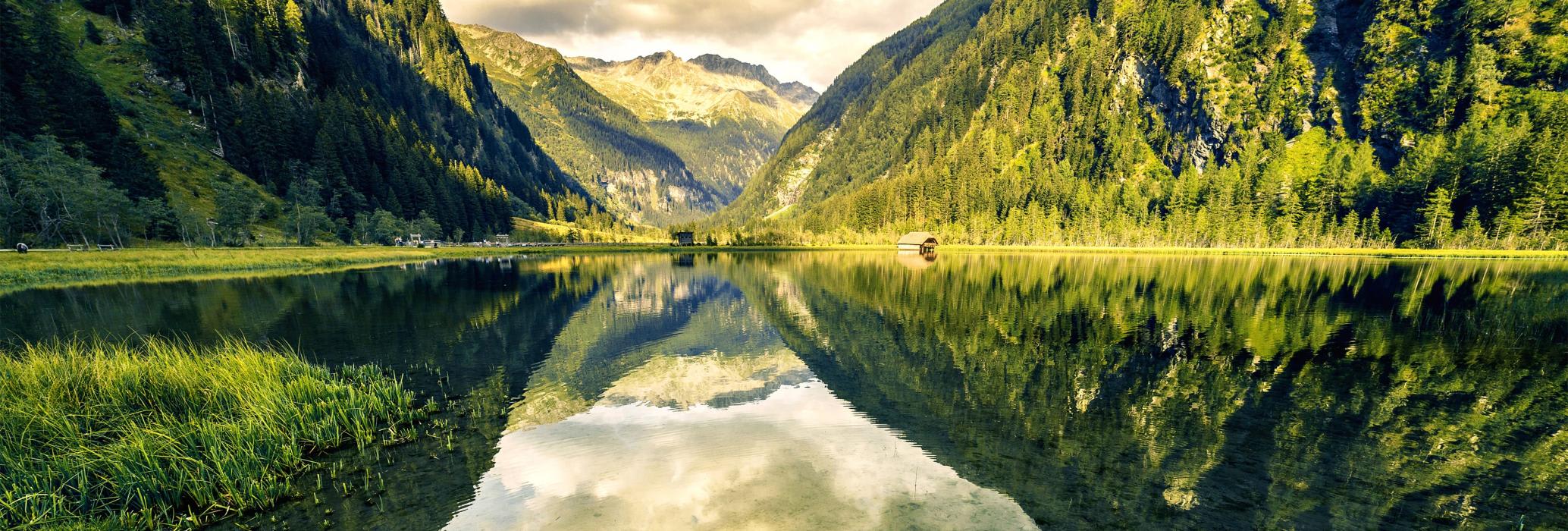 Stort natur-oppdrag for Nærings- og fiskeridepartementet: RSM skal kartlegge naturrisiko i statlig eide selskaper