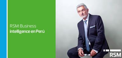 Business Intelligence en Perú