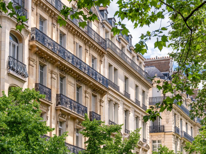 An old tenement house with an elegant façade visible from behind the green leaves