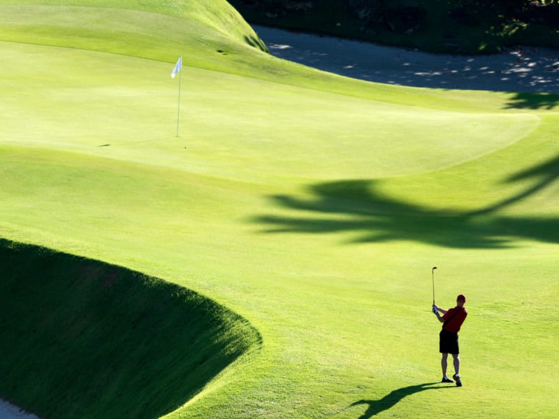 Golfer on the golf course