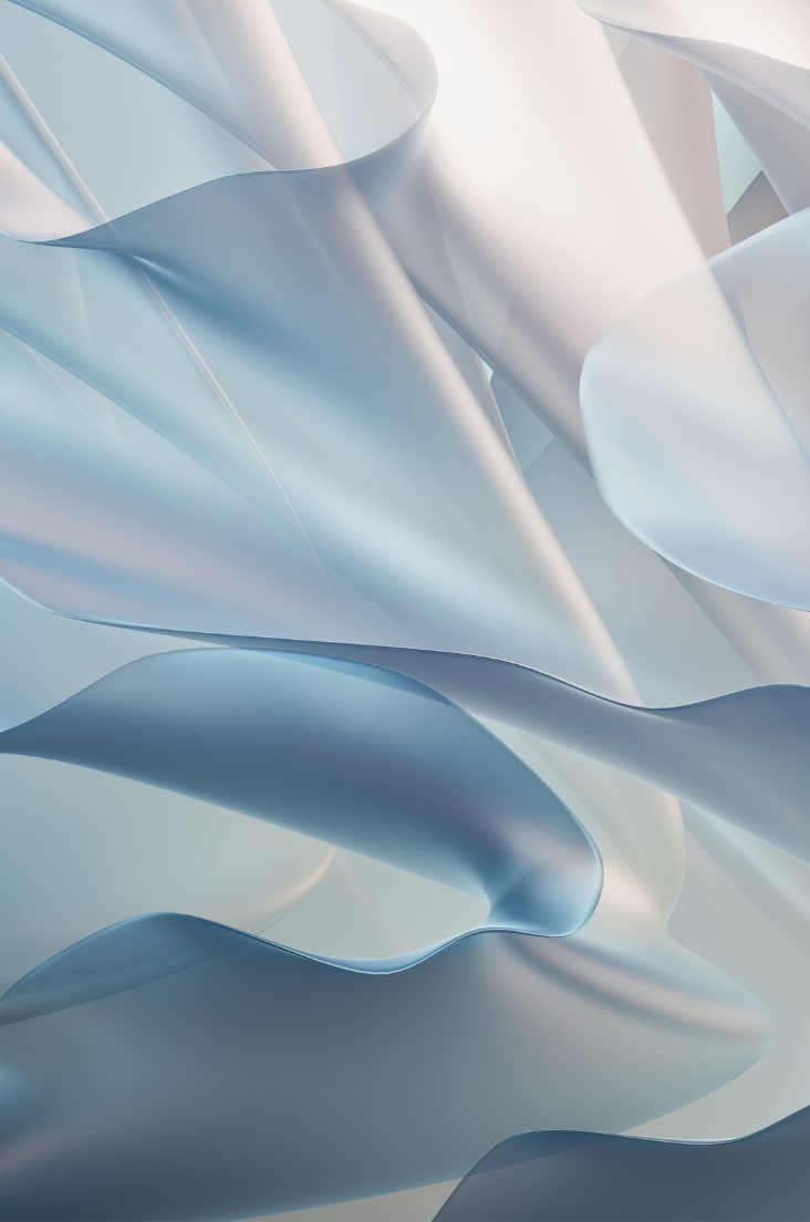 Close-up of white frills