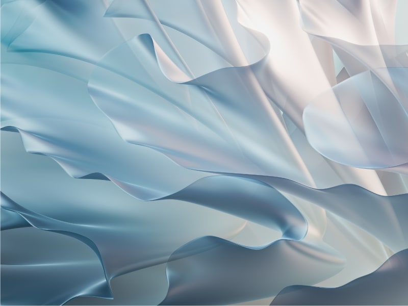 Close-up of white frills