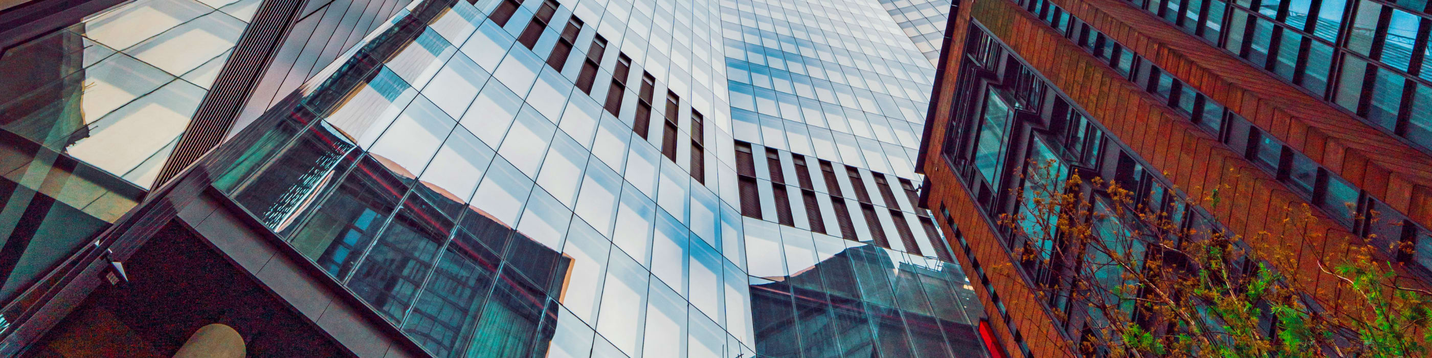 A row of office buildings seen from a worm's-eye view