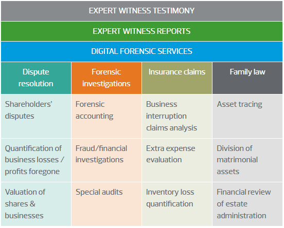 Our Litigation Support and Forensics services includes area such as Dispute resolution, Forensic investigations, Insurance claims and Family law. 