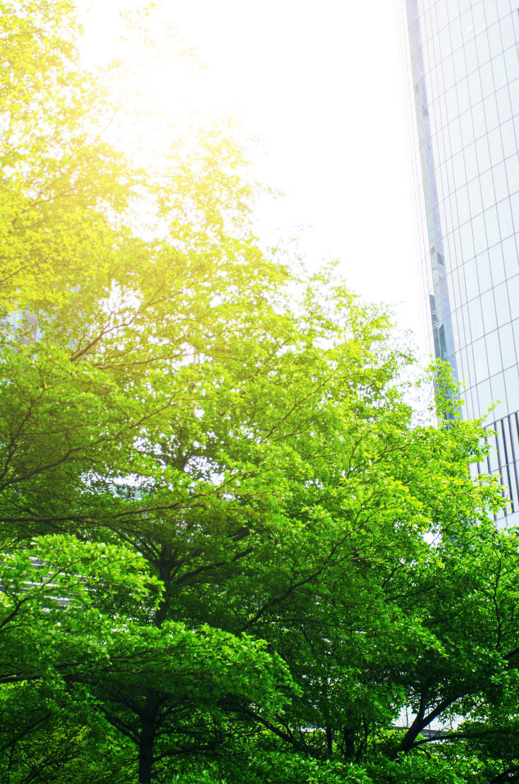 The other side of the green transition 