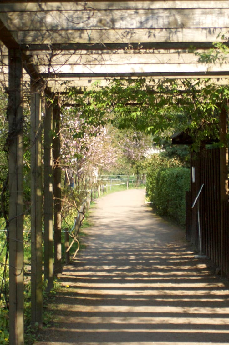 ESG Reality for SMEs: Why it Matters Even More Now and How to Start?