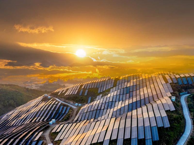 The future of business: Evolving through ESG and climate reporting