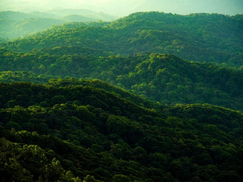 Preparing for ISSA 5000: How to Ensure Readiness for Sustainability Assurance in the Evolving Global Landscape