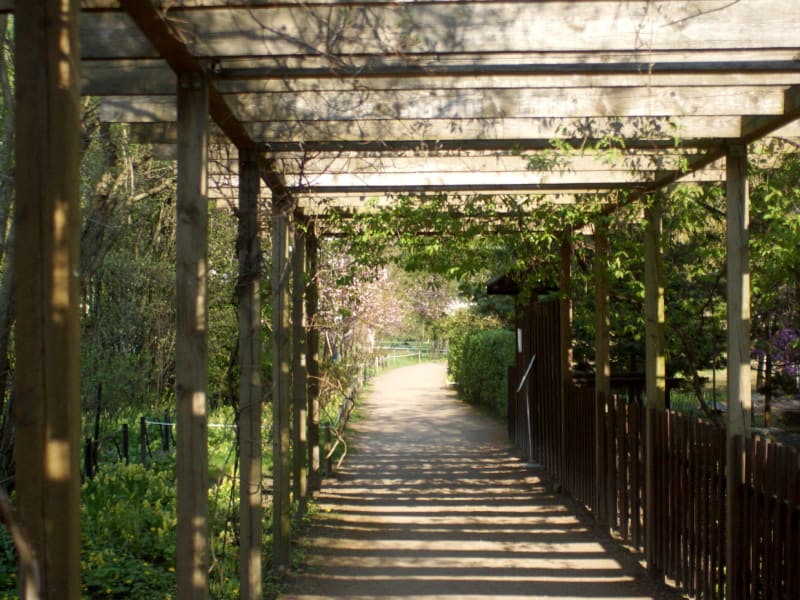 ESG Reality for SMEs: Why it Matters Even More Now and How to Start?