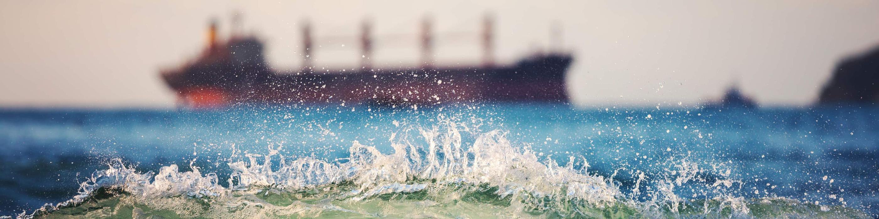 Alternative Net Tonnage Basis of Taxation for Shipping Entities