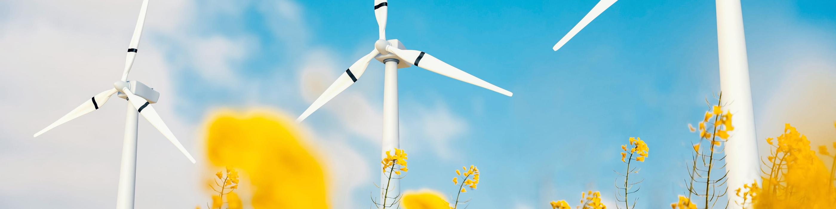 Navigating Asia's Green Transition: Key Insights on the Singapore-Asia Taxonomy