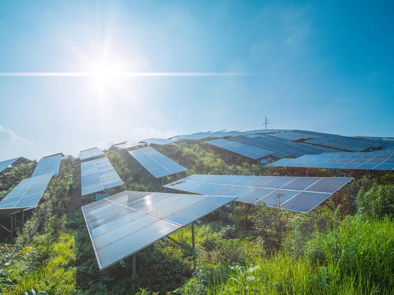 Corporate sustainability due diligence directive (CSDDD)