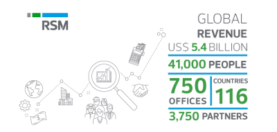 RSM posts record revenues as consulting services power growth