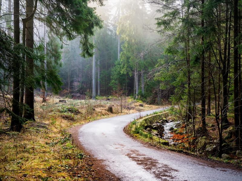 What is the Nature Restoration Law?