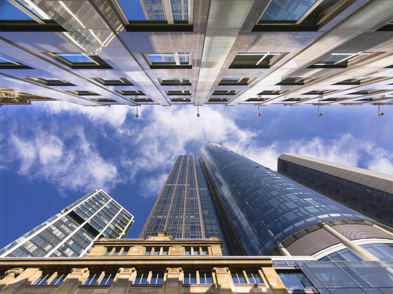 The fraud fear is riding in financial planners 
