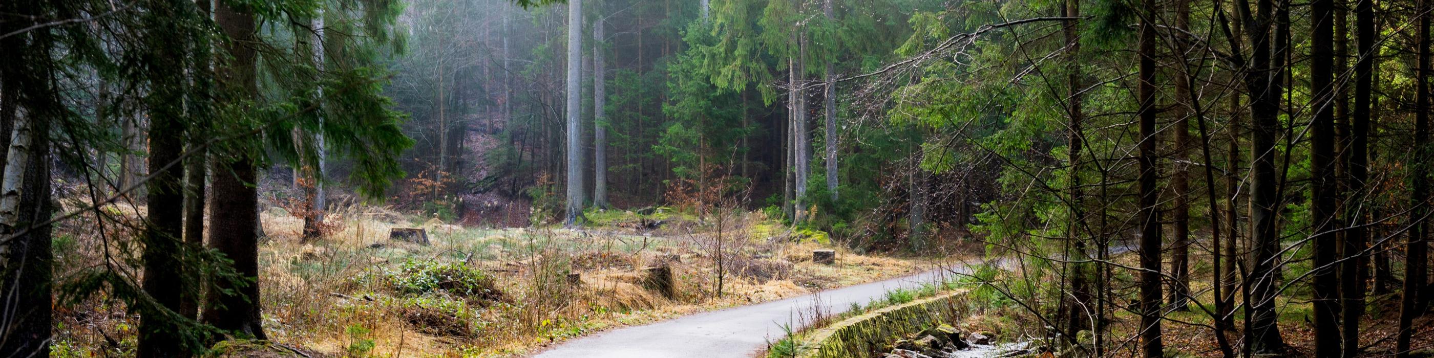 What is the Nature Restoration Law?